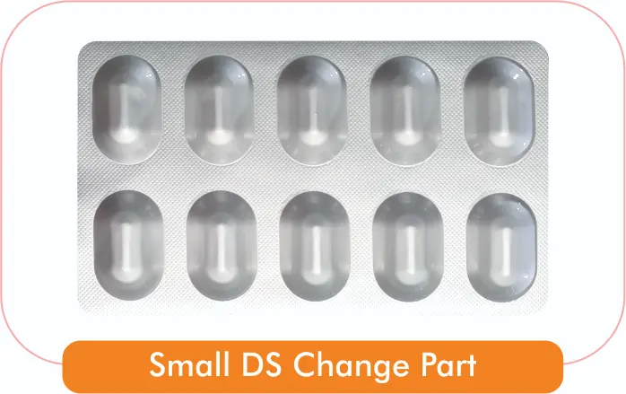 Small DS Change part